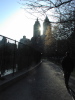 18-contre-jour à Central Park