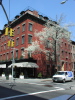 38-Greenwich Village