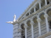 66-Pise-Détail de la cathédrale